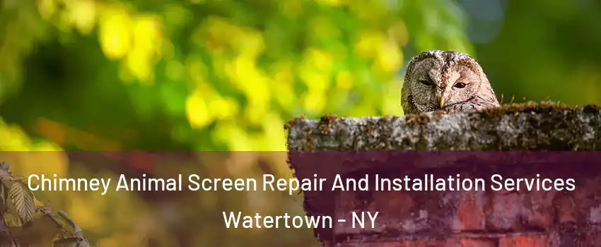  Chimney Animal Screen Repair And Installation Services Watertown - NY