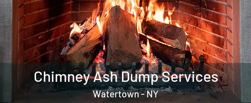  Chimney Ash Dump Services Watertown - NY