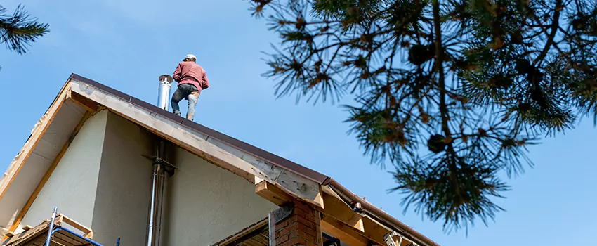 Birds Removal Contractors from Chimney in Watertown, NY
