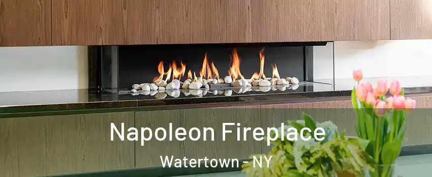  Napoleon Fireplace Watertown - NY